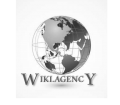 Wiki agency logo1.png